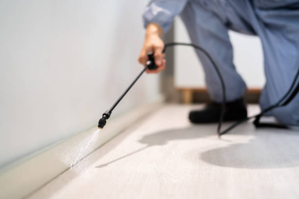 Bed Bug Pre-Treatment Preparation Assessment in Hanahan