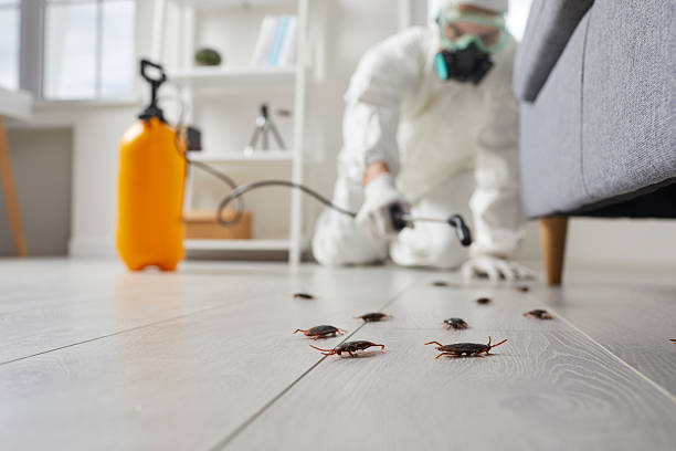 Post-Treatment Bed Bug Interceptor Monitoring in Hanahan