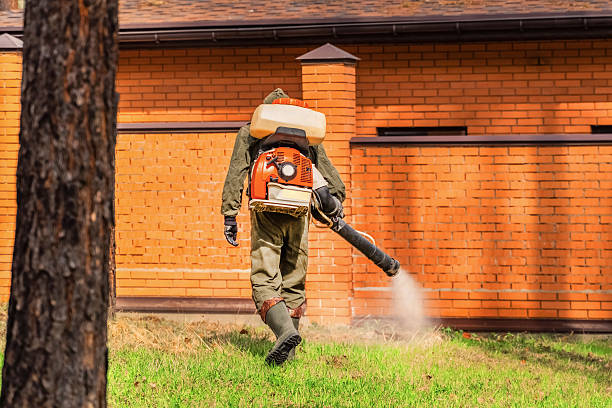 Bed Bug Clearance Verification and Documentation in Hanahan